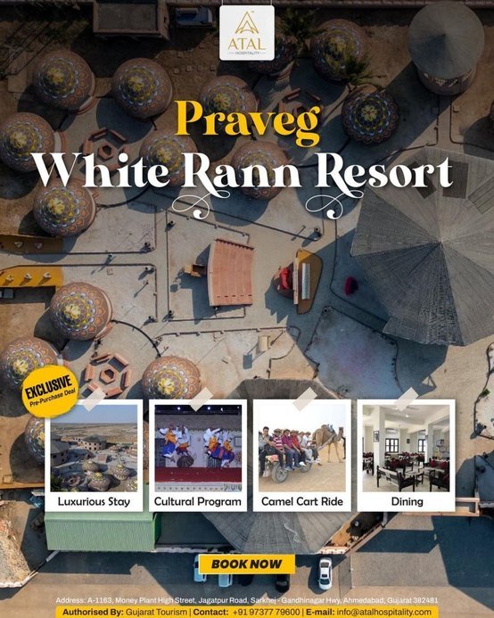 Social Media Post Design Portfolio​