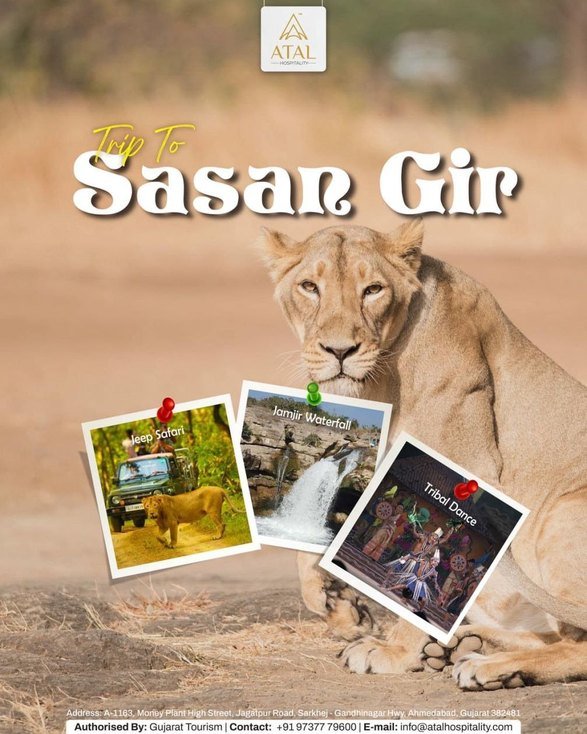 Social Media Post Design Portfolio​