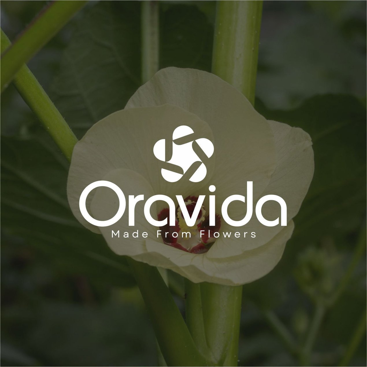 Oravida
